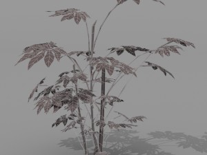 small shrub set Model 3D