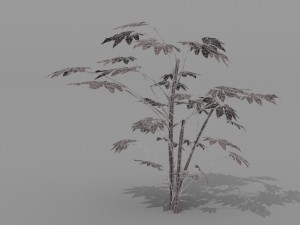 small shrub set Model 3D