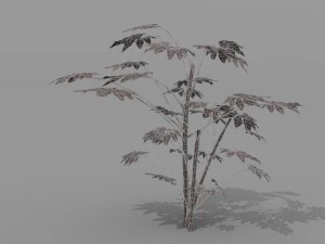 small shrub set 3D Model