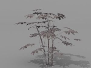 small shrub set Model 3D