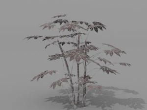 small shrub set 3D Model