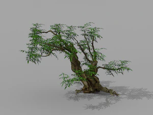 tree set 3D Model
