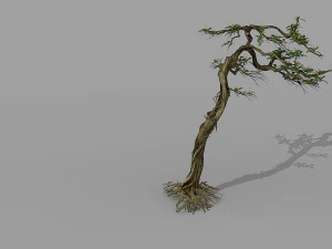 tree set 3D Model
