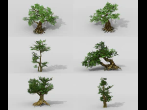 banyan set 3D Model