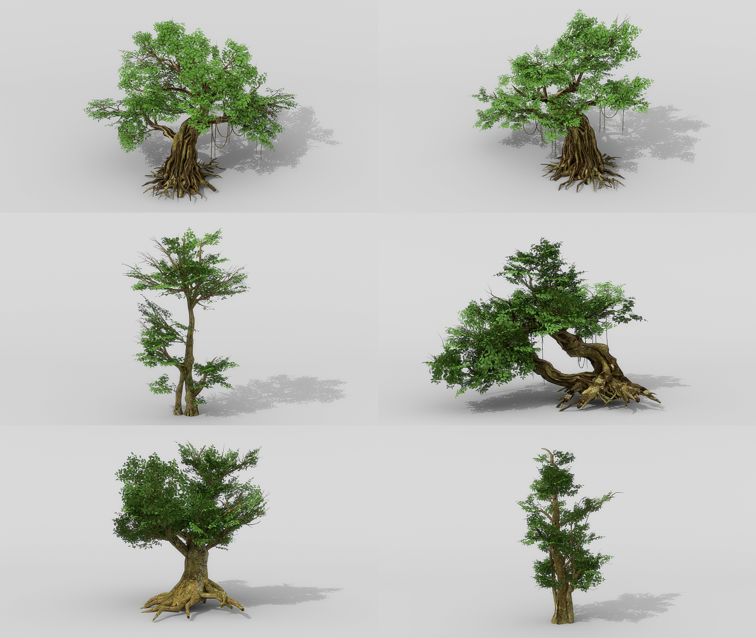 Карта дерева для 3d max