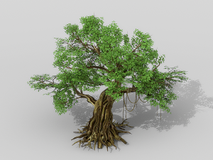 banyan set Model 3D