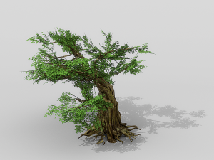 banyan set Model 3D