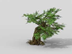 banyan set Model 3D