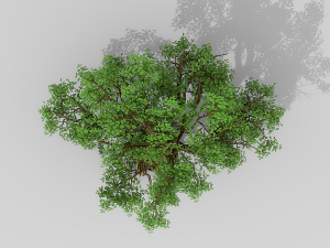 banyan set Model 3D