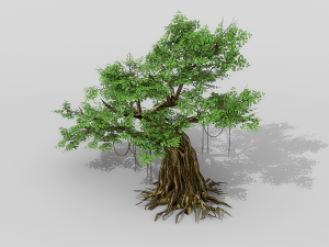banyan set Model 3D