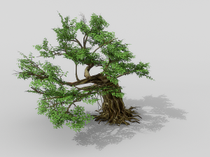 banyan set Model 3D