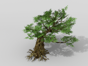 banyan set Model 3D