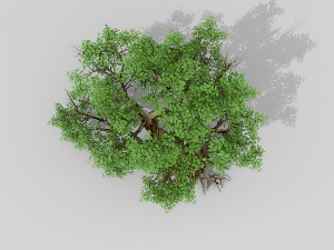 banyan set Model 3D