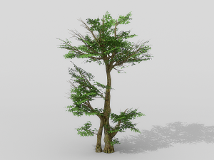 banyan set Model 3D