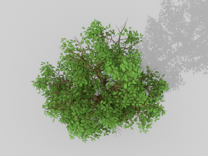 banyan set Model 3D