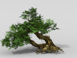 banyan set Model 3D