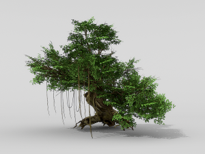 banyan set Model 3D