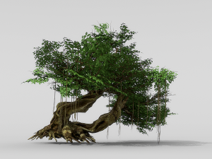 banyan set Model 3D