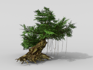 banyan set Model 3D