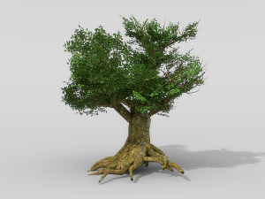 banyan set Model 3D