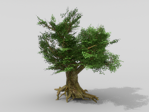 banyan set Model 3D