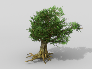 banyan set Model 3D