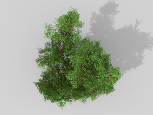 banyan set Model 3D