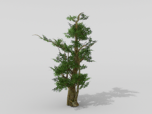 banyan set Model 3D