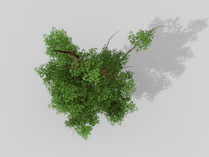 banyan set Model 3D