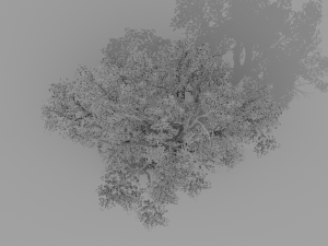 banyan set Model 3D