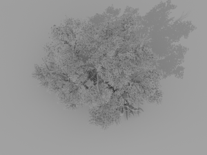 banyan set Model 3D
