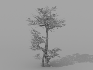 banyan set Model 3D