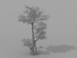 banyan set Model 3D