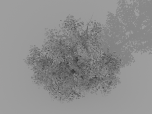 banyan set Model 3D