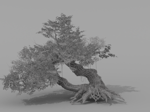 banyan set Model 3D