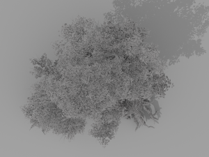 banyan set Model 3D