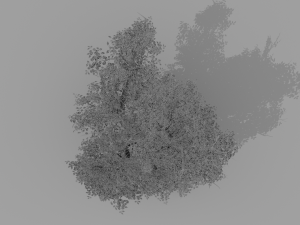 banyan set Model 3D