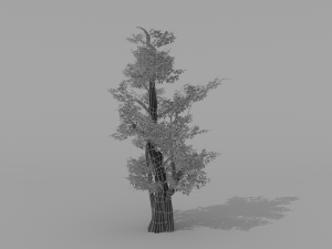 banyan set Model 3D