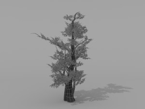 banyan set Model 3D