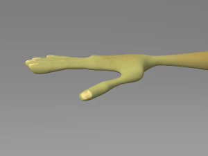 cartoon monster 3D Model