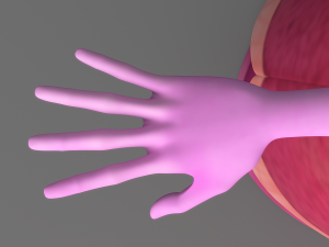 cartoon princess 2 3D Model