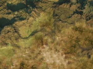 hills terrain 3D 모델