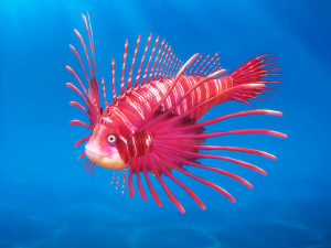 cartoon fish 01 rigged animated 3D Model