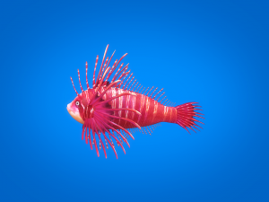 cartoon fish 01 rigged animated 3D Model