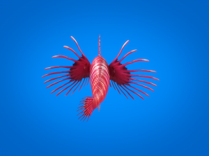 cartoon fish 01 rigged animated 3D Model