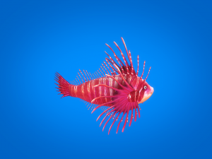 cartoon fish 01 rigged animated 3D Model