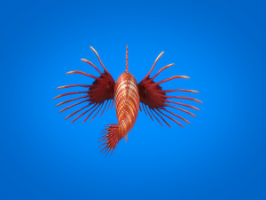 cartoon fish 01 rigged animated 3D Model