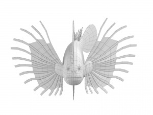 cartoon fish 01 rigged animated 3D Model