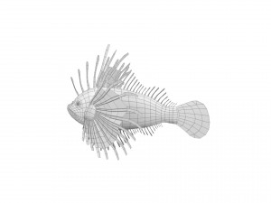 cartoon fish 01 rigged animated 3D Model