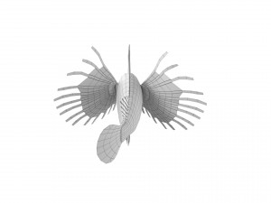 cartoon fish 01 rigged animated 3D Model